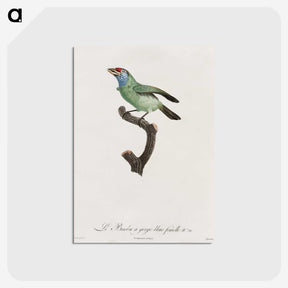 1-65_Des-Oiseaux-de-Paradis_postcard