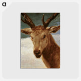 アートポストカード-Head of a Stag - ディエゴ ベラスケス Postcard.