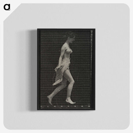 1-65_Eadweard-Muybridge_blk-crop