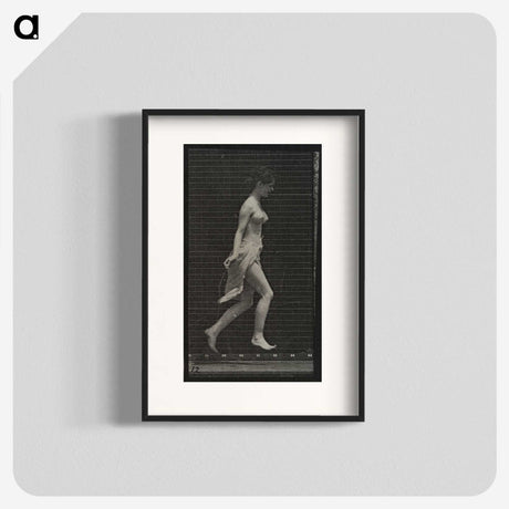 1-65_Eadweard-Muybridge_blk