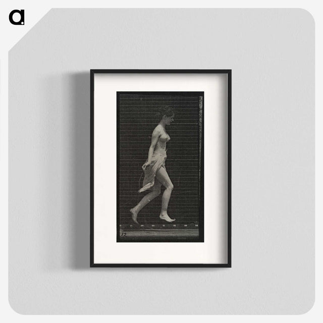 1-65_Eadweard-Muybridge_blk