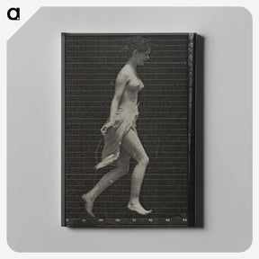 1-65_Eadweard-Muybridge_canvas