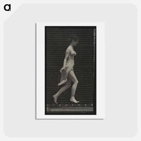 アートポストカード-Skipping Woman
 - エドワード マイブリッジ Postcard.