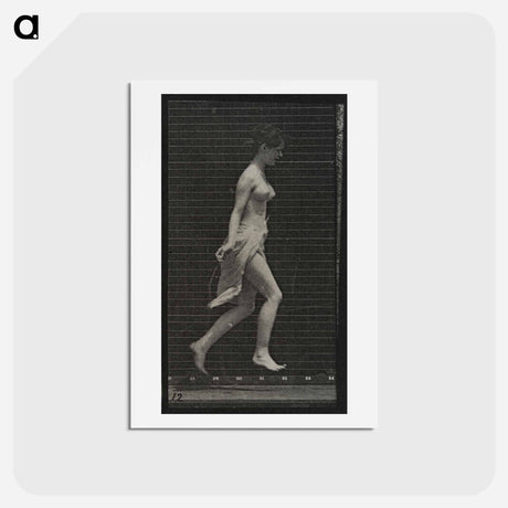 アートポストカード-Skipping Woman
 - エドワード マイブリッジ Postcard.