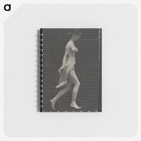 1-65_Eadweard-Muybridge_memo