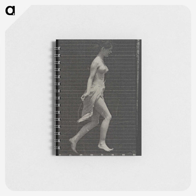 1-65_Eadweard-Muybridge_memo