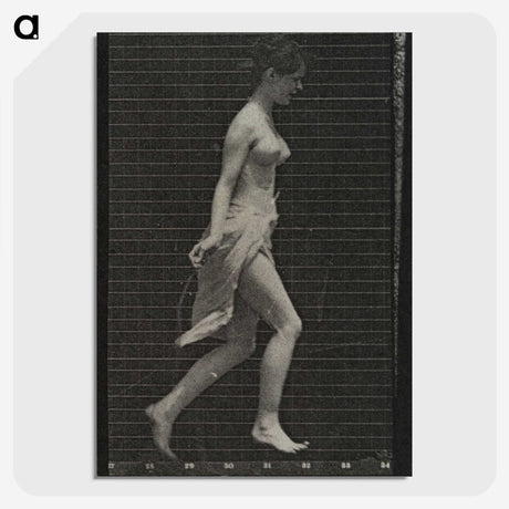 1-65_Eadweard-Muybridge_picture-crop