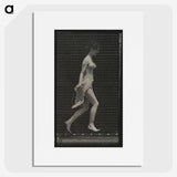 1-65_Eadweard-Muybridge_picture