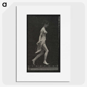 1-65_Eadweard-Muybridge_picture