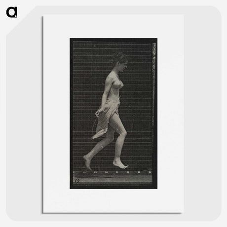 1-65_Eadweard-Muybridge_picture