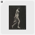 1-65_Eadweard-Muybridge_postcard