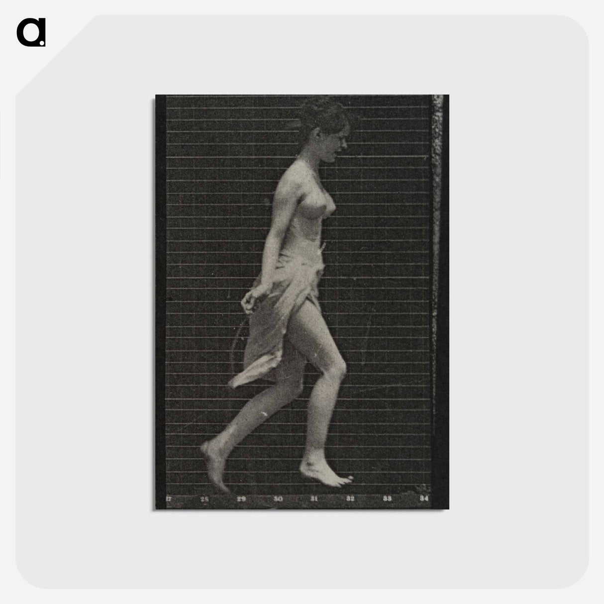 アートポストカード-Skipping Woman
 - エドワード マイブリッジ Postcard.