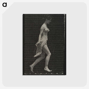 1-65_Eadweard-Muybridge_postcard