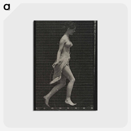 アートポストカード-Skipping Woman
 - エドワード マイブリッジ Postcard.