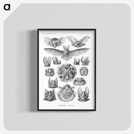 1-65_Ernst-Haeckel_blk-crop