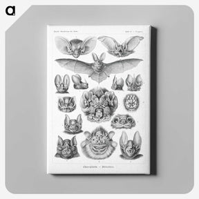 1-65_Ernst-Haeckel_canvas