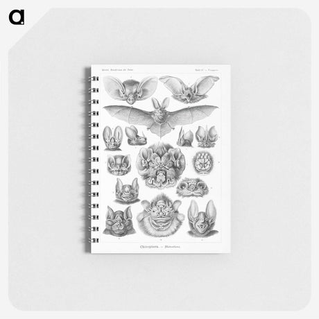 1-65_Ernst-Haeckel_memo