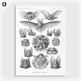 1-65_Ernst-Haeckel_picture-crop