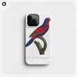 1-65_Francois-Levaillant_phone