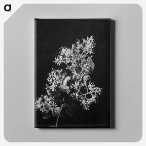 1-65_Frederick-Charles-Brockett_canvas