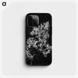 1-65_Frederick-Charles-Brockett_phone
