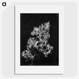 1-65_Frederick-Charles-Brockett_picture