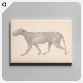 アートパネル-Tiger, Lateral View
 - ジョージ スタッブス Canvas.