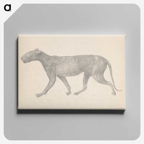 1-65_George-Stubbs_canvas