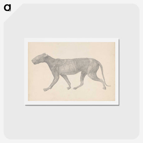1-65_George-Stubbs_hagaki
