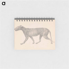 アートメモ帳-Tiger, Lateral View
 - ジョージ スタッブス Memo.