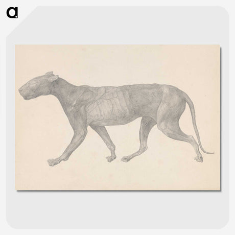 1-65_George-Stubbs_picture-crop