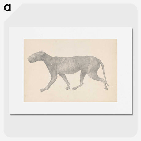 1-65_George-Stubbs_picture