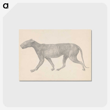 1-65_George-Stubbs_postcard