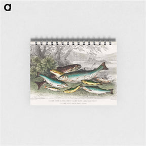 アートメモ帳-Salmon and Trout
 - ゴールドスミスの生き生きとした自然 Memo.