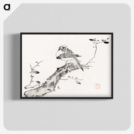 1-65_Hu-Zhengyan_blk-crop