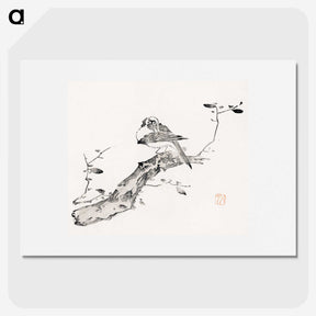 1-65_Hu-Zhengyan_picture