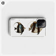 1-65_Ichtyologie-ou-Histoire-naturelle_phone