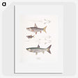 1-65_Indian-Zoology_picture