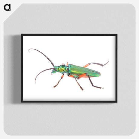 1-65_Insects-Unlocked-Project_blk-crop