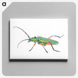 1-65_Insects-Unlocked-Project_canvas