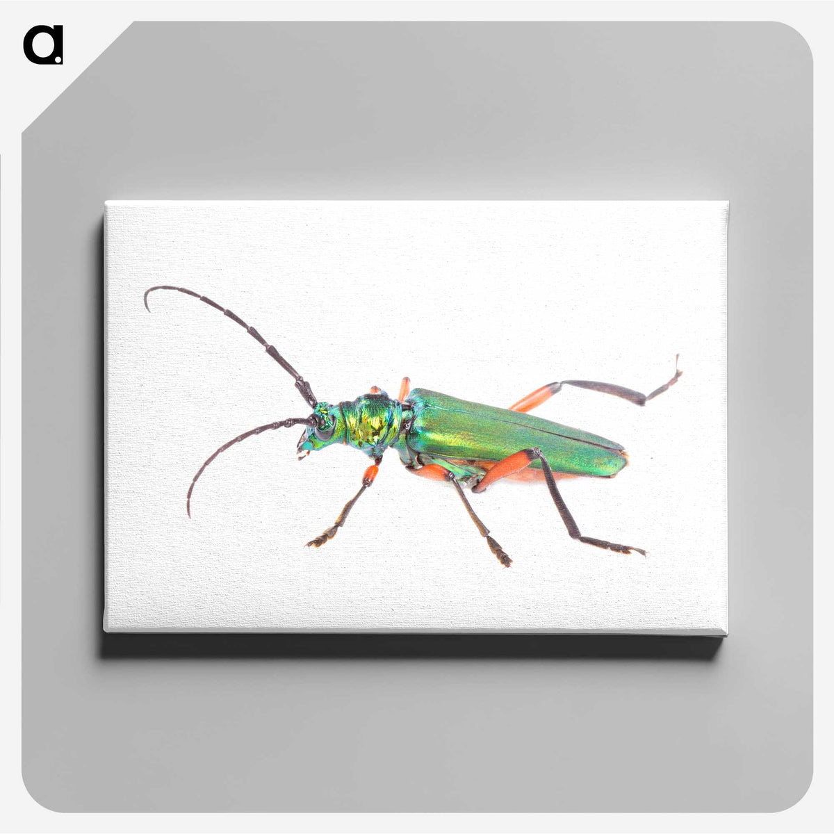 1-65_Insects-Unlocked-Project_canvas