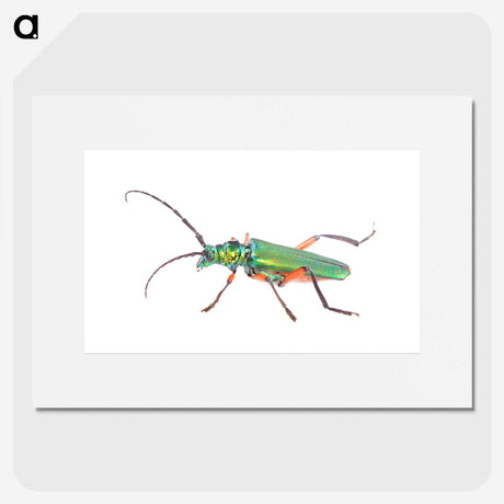 1-65_Insects-Unlocked-Project_picture