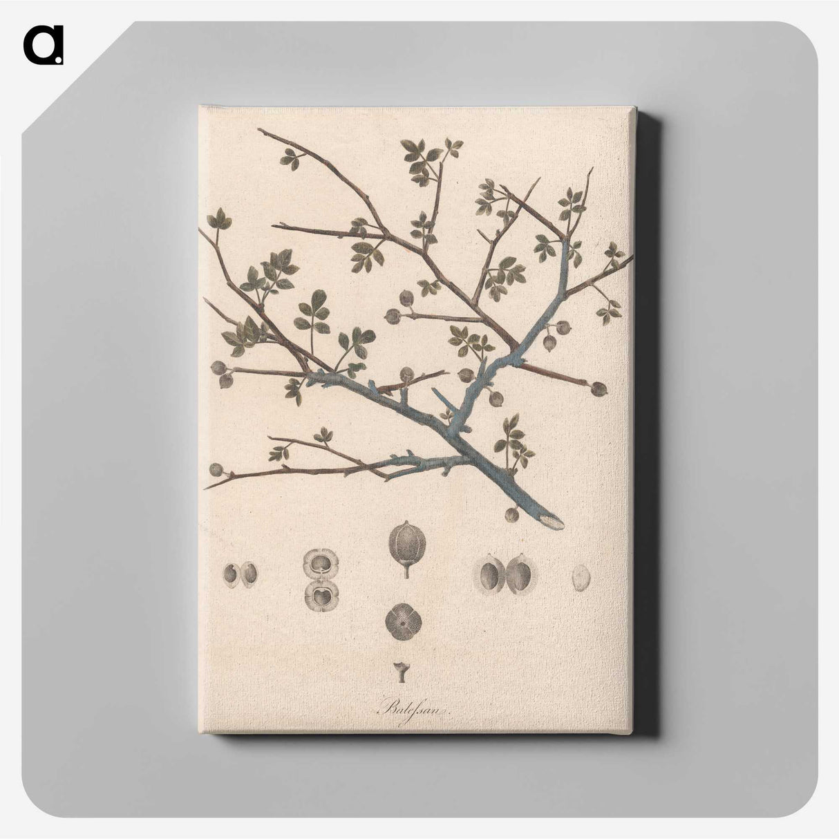 1-65_James-Heath_canvas
