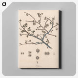 1-65_James-Heath_canvas