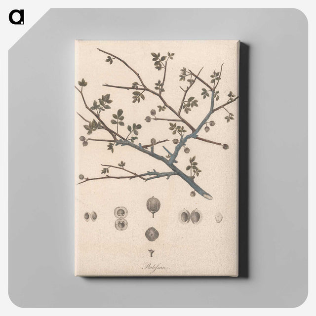 1-65_James-Heath_canvas