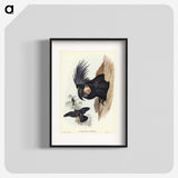 1-65_John-Gould_blk