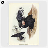 1-65_John-Gould_picture-crop
