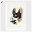 1-65_John-Gould_picture