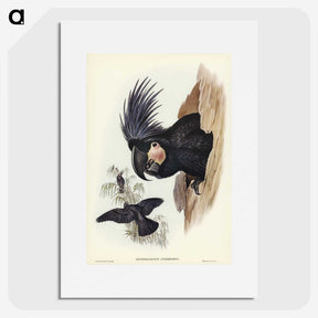 1-65_John-Gould_picture