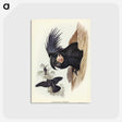 1-65_John-Gould_postcard